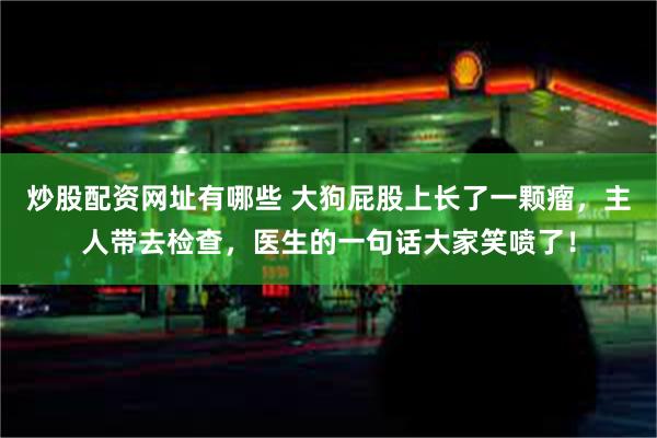 炒股配资网址有哪些 大狗屁股上长了一颗瘤，主人带去检查，医生的一句话大家笑喷了！