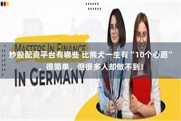 炒股配资平台有哪些 比熊犬一生有“10个心愿”，很简单，但很多人却做不到！