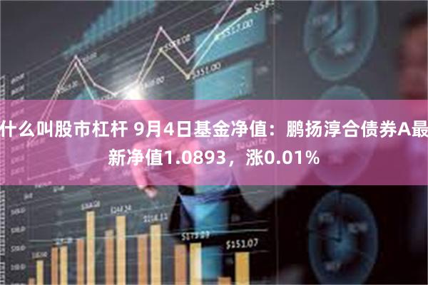 什么叫股市杠杆 9月4日基金净值：鹏扬淳合债券A最新净值1.0893，涨0.01%