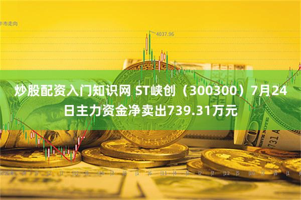 炒股配资入门知识网 ST峡创（300300）7月24日主力资金净卖出739.31万元