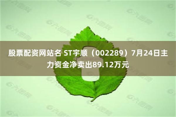 股票配资网站名 ST宇顺（002289）7月24日主力资金净卖出89.12万元