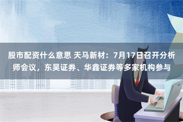 股市配资什么意思 天马新材：7月17日召开分析师会议，东吴证券、华鑫证券等多家机构参与