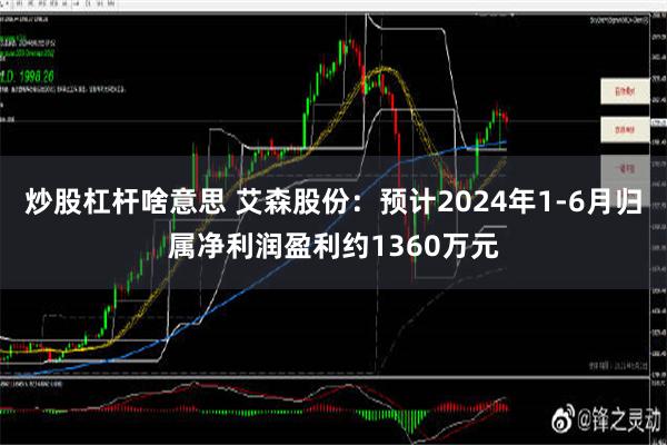 炒股杠杆啥意思 艾森股份：预计2024年1-6月归属净利润盈利约1360万元