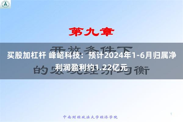 买股加杠杆 峰岹科技：预计2024年1-6月归属净利润盈利约1.22亿元