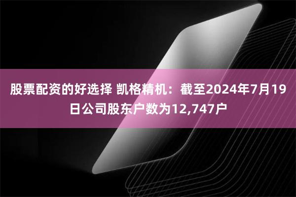 股票配资的好选择 凯格精机：截至2024年7月19日公司股东户数为12,747户