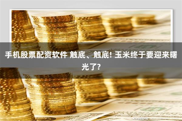 手机股票配资软件 触底、触底! 玉米终于要迎来曙光了?