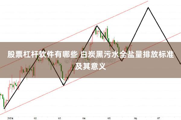 股票杠杆软件有哪些 白炭黑污水全盐量排放标准及其意义