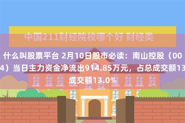 什么叫股票平台 2月10日股市必读：南山控股（002314）当日主力资金净流出914.85万元，占总成交额13.0%